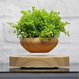 Levitating Air Bonsai Pot - Magnetic Levitation Suspension flower and air bonsai pot