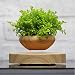 Levitating Air Bonsai Pot - Magnetic Levitation Suspension flower and air bonsai pot