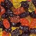 SweetGourmet Fall Gummy Bears | Mango, Orange, Grape | Bulk Candy | 1.5 Pounds