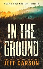 In the Ground (David Wolf Mystery Thriller Series Book 14)