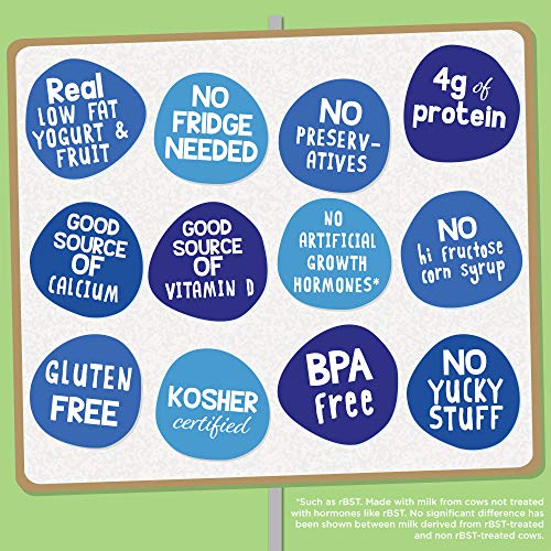 4 GoGo+YogurtZ+Portable+BPA+Free+Gluten+Free