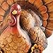Cypress Home Decorative Be Thankful Hand-Painted Thanksgiving Turkey Tabletop Centerpiece Décor