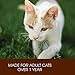 Holistic Select Natural Grain Free Dry Cat Food, Chicken, 12-Pound Bag