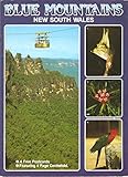 Blue Mountains, New South Wales by Rosalie Trower front cover