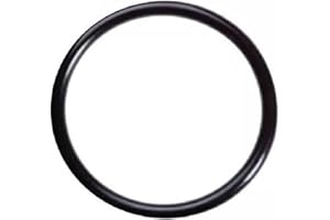 SUNNER THINKEN PCV Valve Seal O-Ring for Dodge Dart 2012-2017 for Fiat 500 2012-2017 for Fiat 500L 2012-2017 for Fiat 500X 2012-2017 for Jeep Renegade 2015-2018 for Jeep Compass 2018-2019# 4893446AB 4893446AA