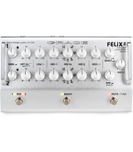 Amazon.com: Grace Design Felix 2-Channel Instrument Preamp and
