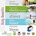 TJ's Health Organic Sleep Foot pads | 30 rose & lavender feet patches to aid natural sleep | Clarity within