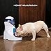 HoneyGuaridan A26 Automatic Pet Feeder Food Dispenser - Removable Food Container, Portion Control & Voice Recording - Timer Programmable 6-Meal for Dogs & Cats & Small Animals - Double Power Optional
