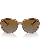 COACH Sunglasses HC 8169 5561T5 L149 Transparent Brown G