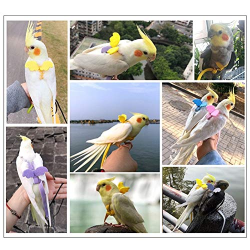 JIAN LIN Einstellbare Papageien-Vogel-Gurt Leine Set Anti-bite Trainingsgeschirre for Papageien im Freien Fliegen Seil… – Bild 7