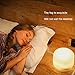 300ml capacity essential oil diffuser, 5-in-1 ultrasonic Quiet aromatherapy vapor humidifier, with timer and automatic shutdown safety switch, 7 kinds of LED lights color (S)thumb 2