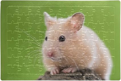 hamster puzzles