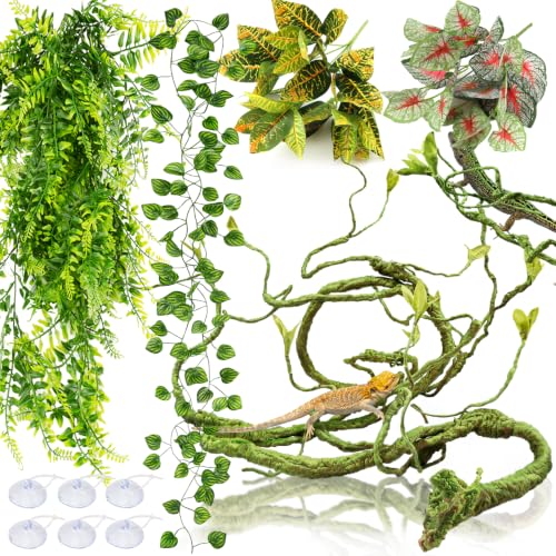 PietyPet Reptile Plant Set