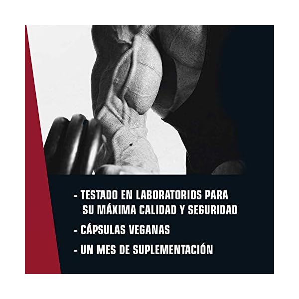 (New) Weider Weider Premium Tribulus Testosterone Support for Men, 1,800 mg of high-Quality Tribulus Terrestris, 30 Day…