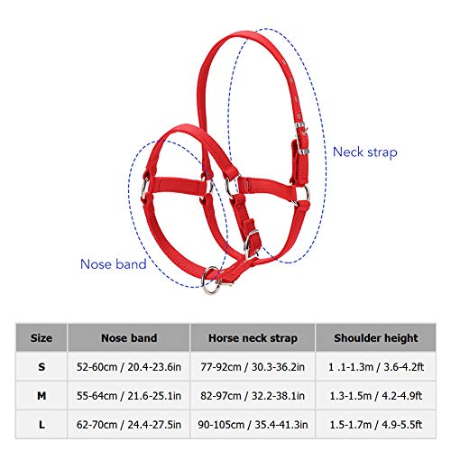 Flytianmy Adjustable Nylon Horse Halter Bridle with Bit and Rein Belt (Black, Large Horse)