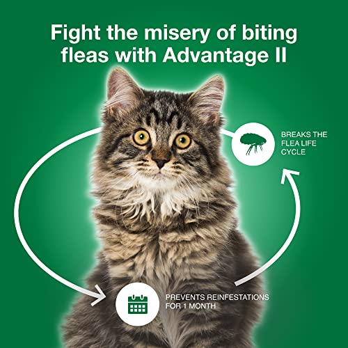 Advantage II Large Cat Flea Treatment & Prevention Cats Over 9 lbs. 4Month