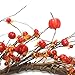 VGIA 18 Inch Red Berry Wreath Fall Wreath Front Door Decor Wreath Fall Decorations