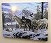 BANBERRY DESIGNS Wolves LED Lighted Sun Canvas Print Home Decor - Wolves Crossing a Frozen Snowy Winter Forest with Majestic Mountain Landscape - 16x12 Inch