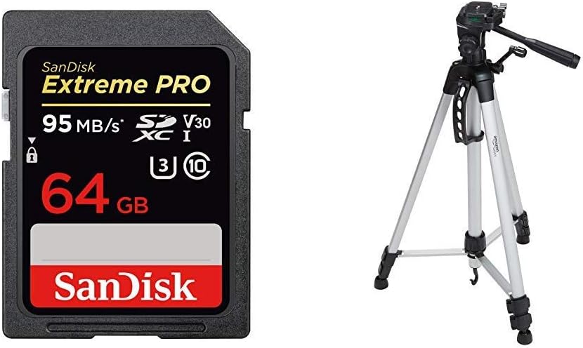Basics 60-Inch Lightweight Tripod with Bag : Camera & Photo