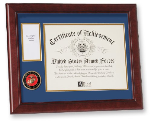 Allied Frame United States Marine Corps Medal and Award Frame