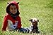 Toddler Foxy Hoodie (4 yrs)