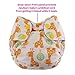 Blueberry Organic Newborn Simplex All in One Cloth Diapers, Bundle of 2, Made in USA (Elephants)