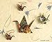 Origami Jewelry: More Than 40 Exquisite Designs to Fold and Wear