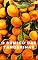 Livro O Sumiço das Tangerinas (Rafa & André (Mistério & Aventura))