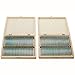 AmScope PS200A Prepared Microscope Slide Set for Basic Biological Science Education, 200 Slides, Set A, Includes Fitted Wooden Case