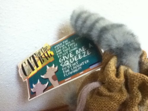 cat in potato sack toy