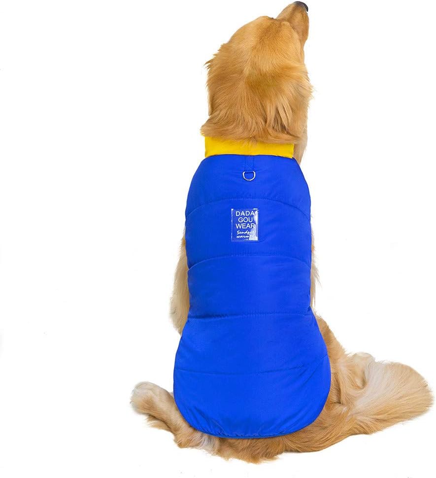 argos dog jumper