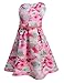 Arshiner Little Girls O-Neck Sleeveless Floral Print Back Zipper Pleated Dress with Belt
