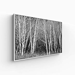 Canvas Wall Art for Living Room, Bedroom Monochrome Plants Framed Canvas Prints for Home Decoration Ready to Hang - 16x24 inches