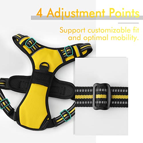 rabbitgoo Dog Harness, NoPull Pet Harness with 2 Leash Clips