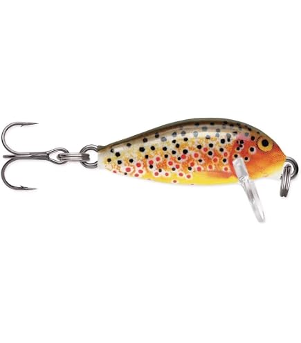 Amazon.com: Rapala Countdown 1/8 Oz Fishing Lures (Fire Minnow