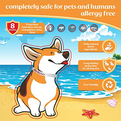 Dog Flea and Tick Collar - Flea and Tick Prevention for Dogs Up to 1 Year Easily Adjustable and Waterproof for Large Small Dogs Flea and Tick Control - Natural Dog Flea Collar for Pet 24.5