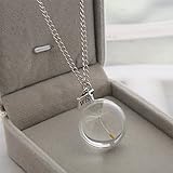 Dolland Handmade Real Dandelion Seed Wish Necklace Dried Pressed Flower Floating Charms Pendant Necklace