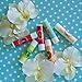 Lip Balm Variety Gift Set - 6 Assorted Flavors Mint Papaya Vanilla Strawberry Watermelon Coconut, Natural Best Lip Plumper Moisturizer Chapstick for Dry Chapped Lips with Vitamin E Coconut Oil Beeswax