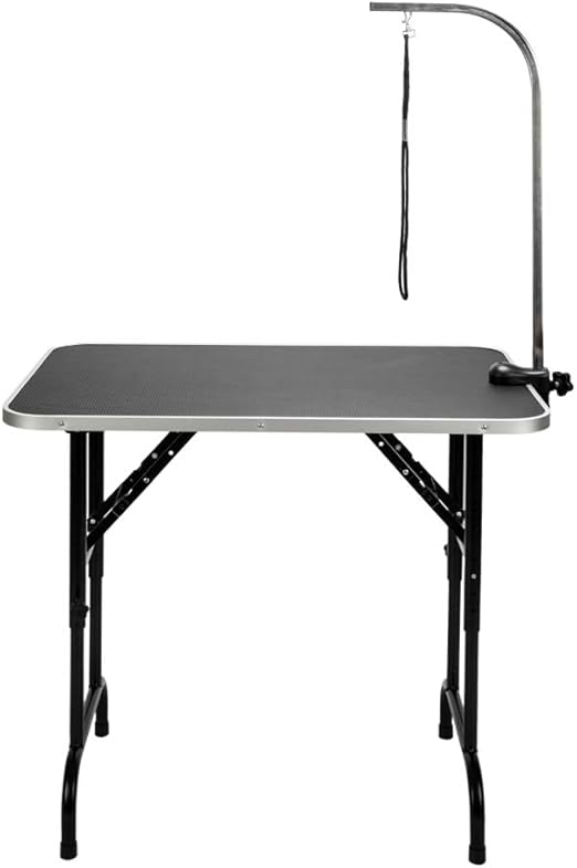 indoor grass mat for dogs