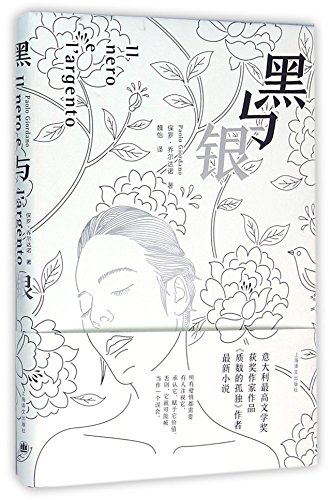 Black and Silver (Chinese Edition)