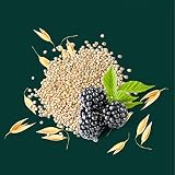 Aveeno Scalp Soothing Colour Protect Conditioner Blackberry & Quinoa 300ml view 11
