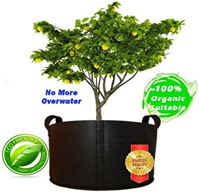 Qik Grow HeavyDuty Smart Fabric Breathable Root Grow Bags 10 Gallon Black