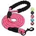 BAAPET 2/4/5/6 FT Dog Leash with Comfortable Padded Handle and Highly Reflective Threads for Small Medium and Large Dogs (5FT-1/2'', Pink)