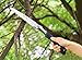 FELARS Handspike Garden Folding Hand Saw, Landscaping (RAZOR SHARP 8.5