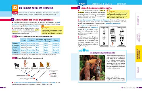 Prépabac Tout le tronc commun Tle générale - Bac 2023: nouveau programme de Terminale - Image 5