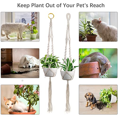 4 Packs Macrame Plant Hangers with 4 Hooks, Qveetry Hanging Planters Indoor Outdoor Handmade Cotton Rope, Flower Pots Holder for Home Garden Balcony Ceiling Decorations