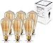 Original Vintage Thomas Edison Incandescent Light Bulbs - 6 Pack - Tungsten Filament, Amber Clear Glass, 60 Watts, 120 Volts, E26 / E27 Medium Base