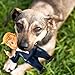 Presidential Donnie Doll Squeaky Pet Chew Toy