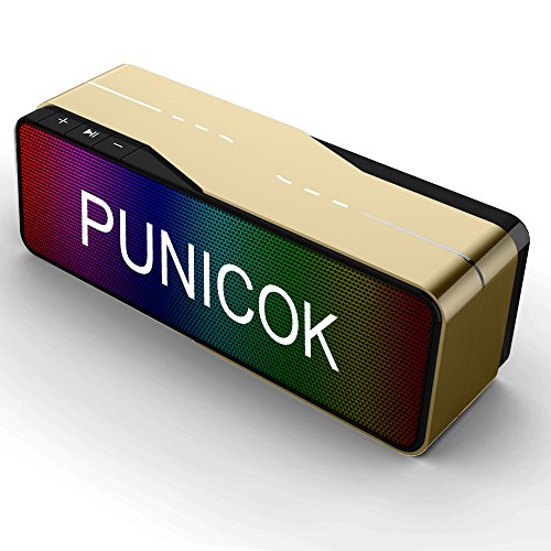Bluetooth Speaker,Bluetooth 4.0 Portable Wireless Speaker with Low Harmonic Distortion and Superior Sound,Hi-Fi Cylinder Loud Speaker with SD Card, USB, AUX and FM Inputs By PUNICOK