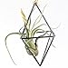NCYP Rustic Style Freestanding Hanging Double Diamond Shaped Metal Tillandsia Air Plants Rack Holder 3.5 inches Sides x 5.9inches Height (Black) No Plants